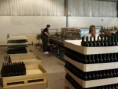 /album/de-fotogalerie/de-15/